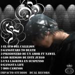 contraportada