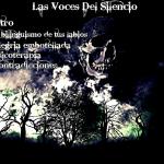 contraportada