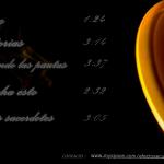 contraportada