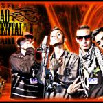 contraportada