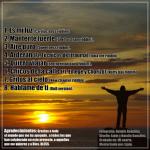 contraportada