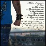 contraportada