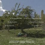 contraportada