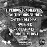 contraportada