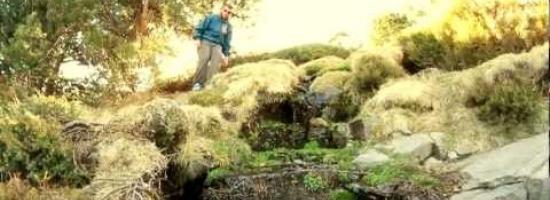 Dakaneh - El Chef - Videoclip