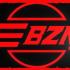 BZNMCs